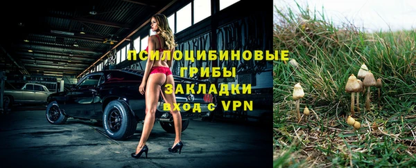 спиды Армянск